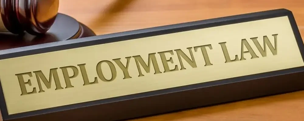 Employment & labor 2